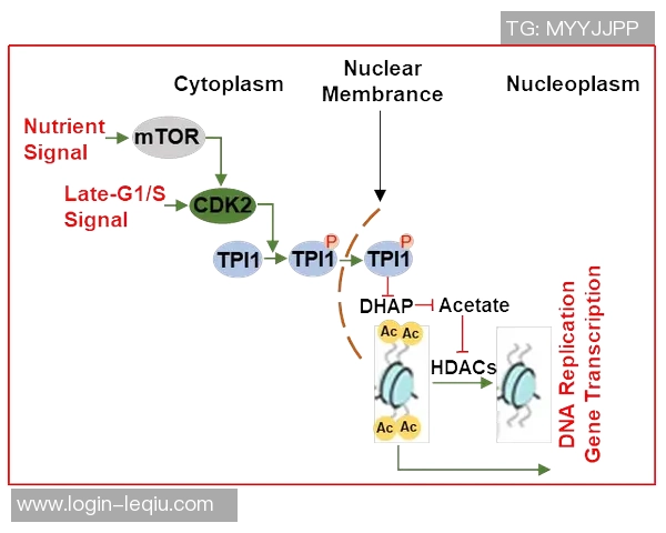 全运会精彩回顾杭州足球队展现卓越团队协作精神
